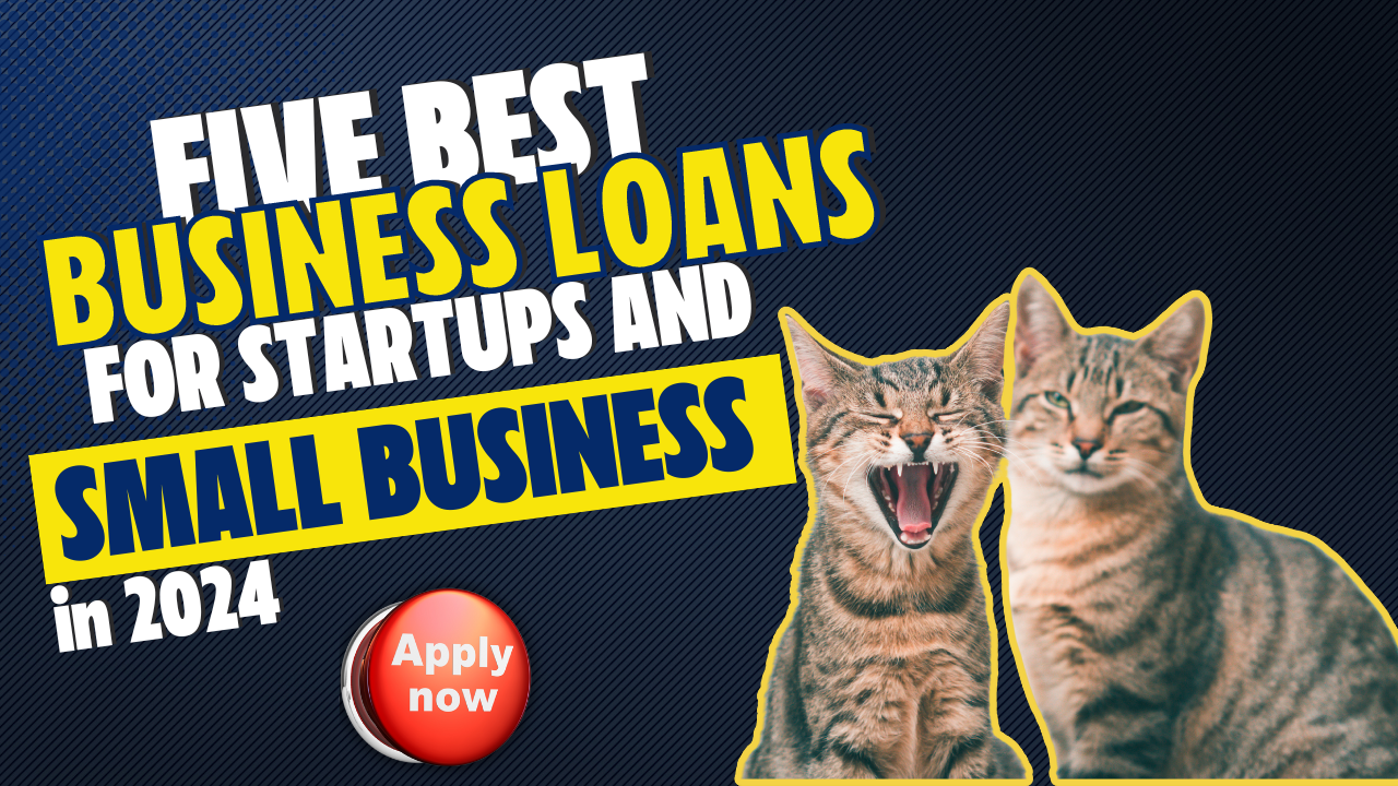 Top 5 Best Business Loans For Small Businesses in 2024