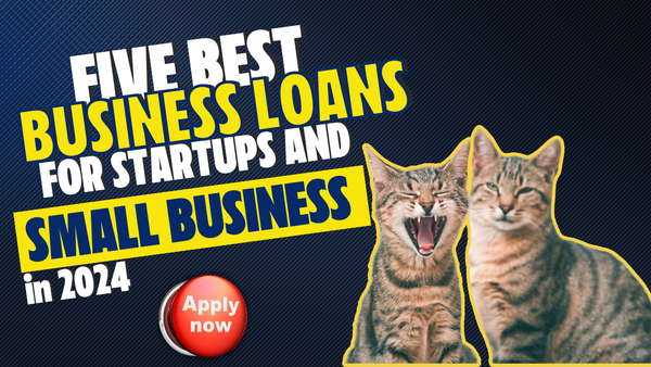 Five best Business loans for Small business and Startups, Main image with kittens